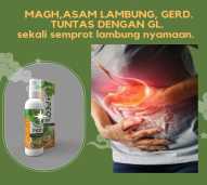 Garuda Lambung