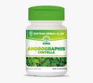 ANDROGRAFIS HNI